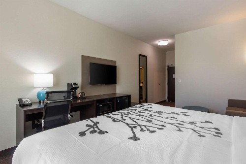 Sleep Inn & Suites Tampa South - image 34