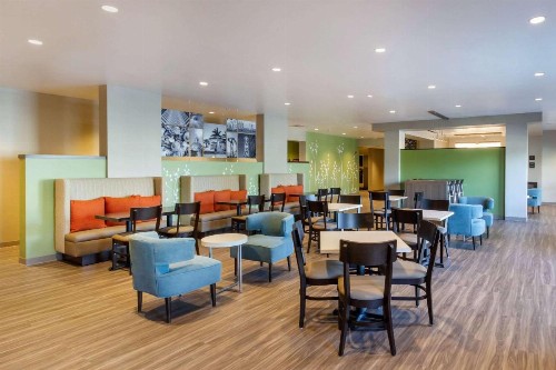 Sleep Inn & Suites Tampa South - image 44