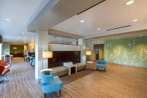 Sleep Inn & Suites Tampa South - image 5