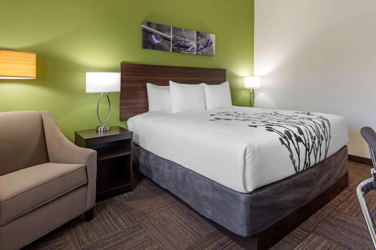 Sleep Inn & Suites Tampa South - image 7