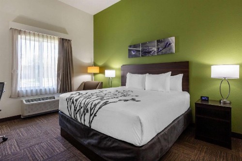 Sleep Inn & Suites Tampa South - image 8