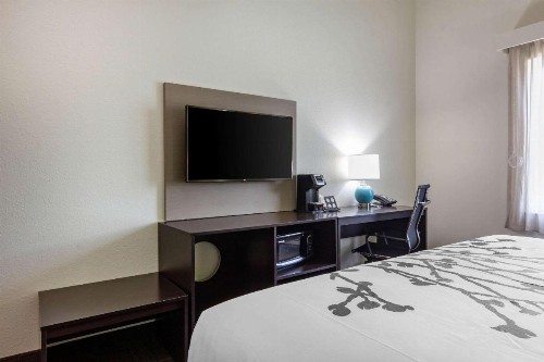 Sleep Inn & Suites Tampa South - image 9