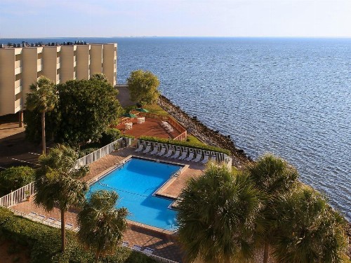 Apartment Tampa.3 - image 2