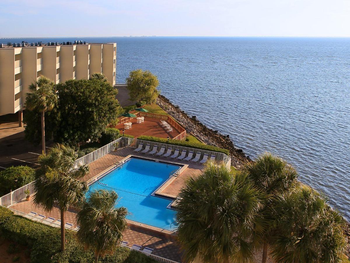 Apartment Tampa.3 - image 2