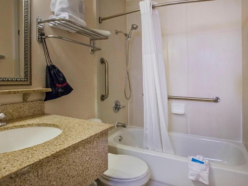 Apartment Tampa.3 - image 3