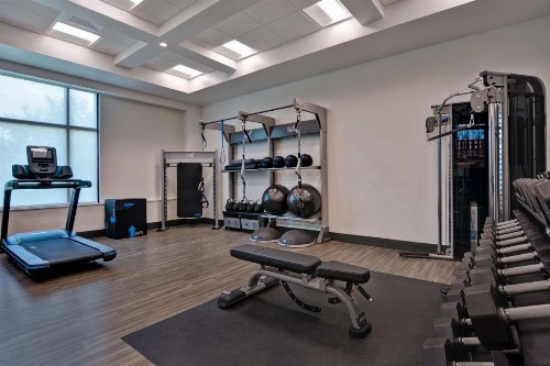 Hampton Inn & Suites Tampa Riverview - image 18