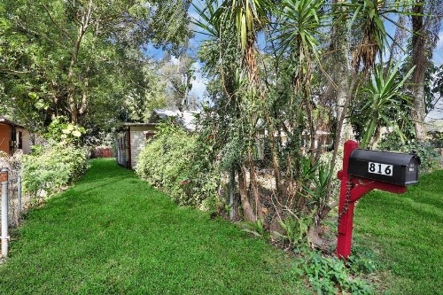 Tampa Dreams - image 12