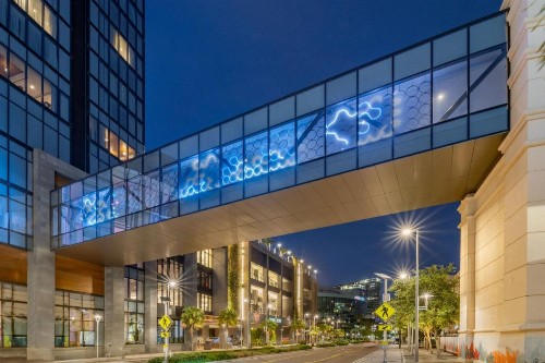 JW Marriott Tampa Water Street - image 6