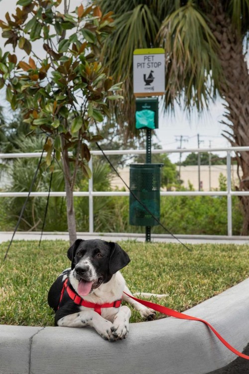 Home2 Suites By Hilton Tampa Westshore Airport Fl - image 13