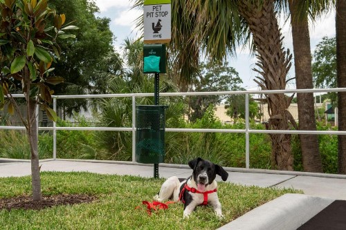 Home2 Suites By Hilton Tampa Westshore Airport Fl - image 5
