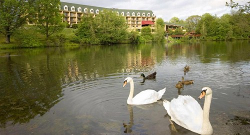 The Chateau Resort - image 31