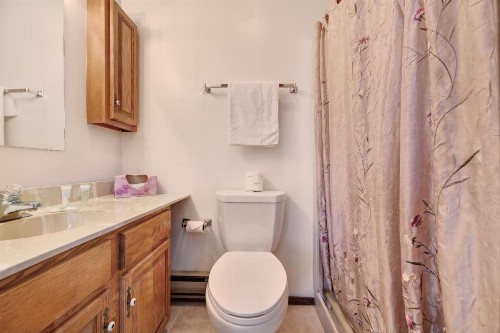 Camelback 302 - image 7