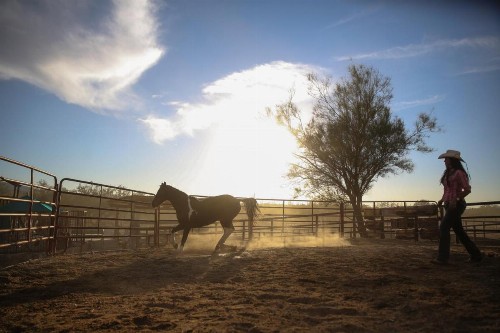 Tanque Verde Guest Ranch - image 15