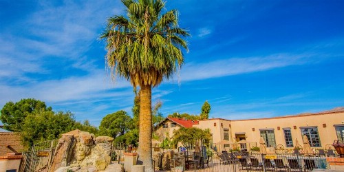 Tanque Verde Guest Ranch - image 8