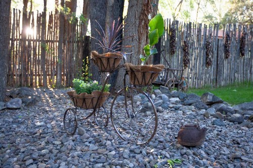 Dreamcatcher B&B - image 16