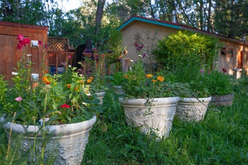 Dreamcatcher B&B - image 21