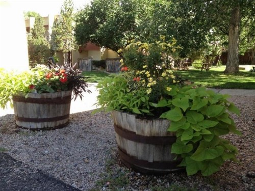 El Pueblo Lodge - image 7