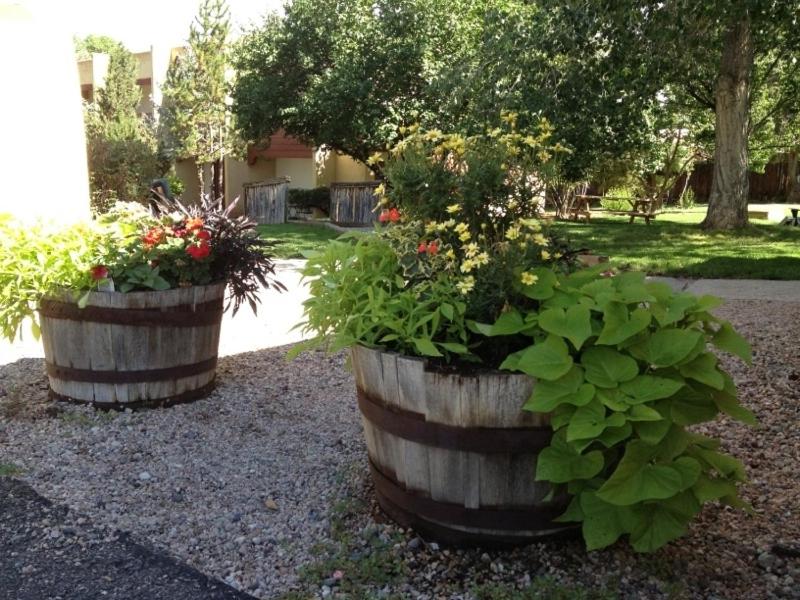 El Pueblo Lodge - image 7