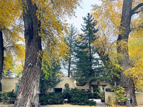 Hacienda Del Sol B&B - image 6