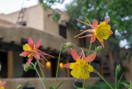 Inn on La Loma Plaza - image 43
