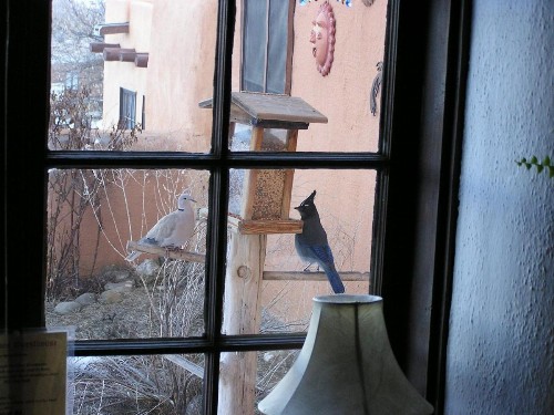 Old Taos Guesthouse B&B - image 26