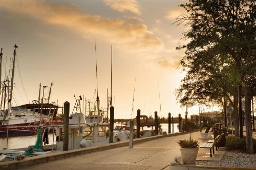 Hampton Inn & Suites Tarpon Springs - image 13