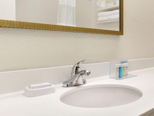 Hampton Inn & Suites Tarpon Springs - image 31