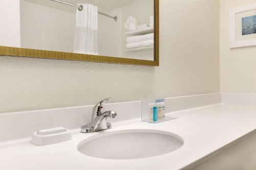Hampton Inn & Suites Tarpon Springs - image 48