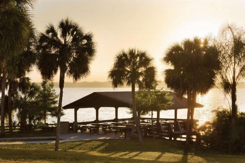 Hampton Inn & Suites Tarpon Springs - image 5