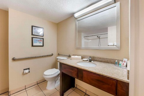 Comfort Inn & Suites Tavares North - image 21