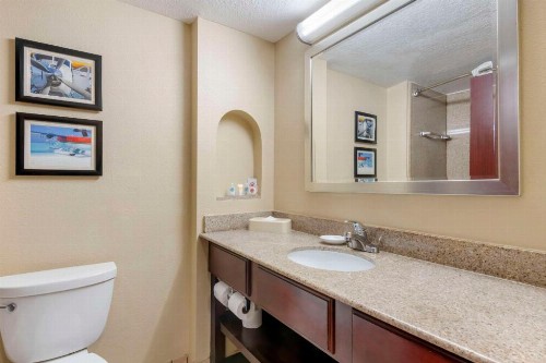 Comfort Inn & Suites Tavares North - image 27