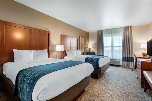 Comfort Inn & Suites Tavares North - image 28