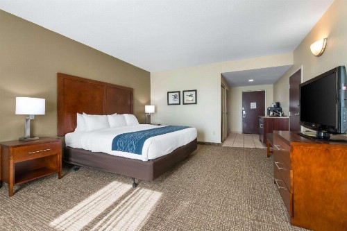 Comfort Inn & Suites Tavares North - image 35