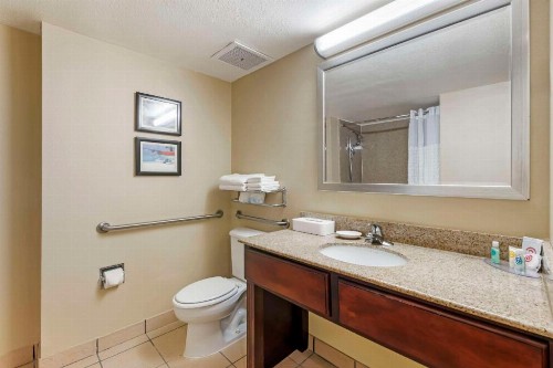 Comfort Inn & Suites Tavares North - image 36