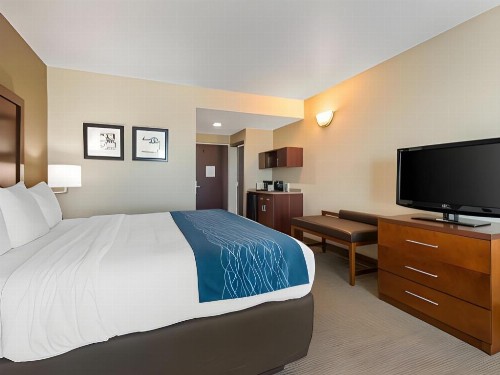 Comfort Inn & Suites Tavares North - image 37