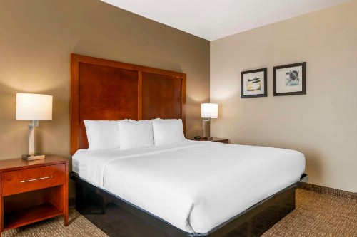 Comfort Inn & Suites Tavares North - image 38