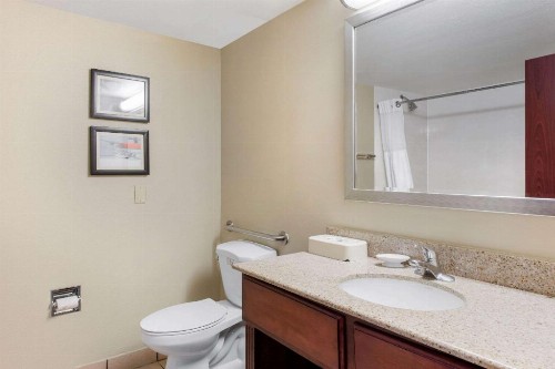 Comfort Inn & Suites Tavares North - image 46