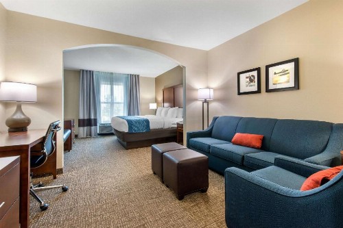 Comfort Inn & Suites Tavares North - image 49