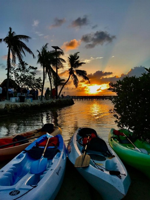 Coconut Palm Inn - image 11