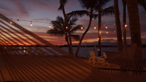 Coconut Palm Inn - image 19