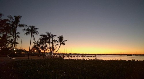 Coconut Palm Inn - image 2