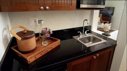 Coconut Palm Inn - image 21