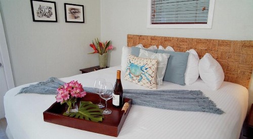 Coconut Palm Inn - image 23