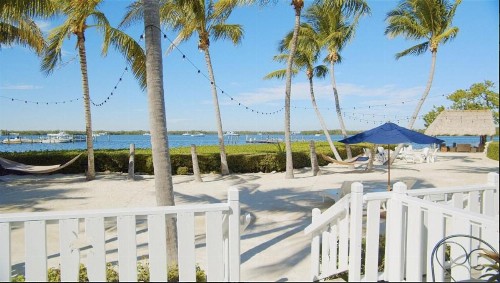 Coconut Palm Inn - image 24