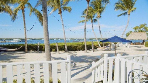 Coconut Palm Inn - image 4