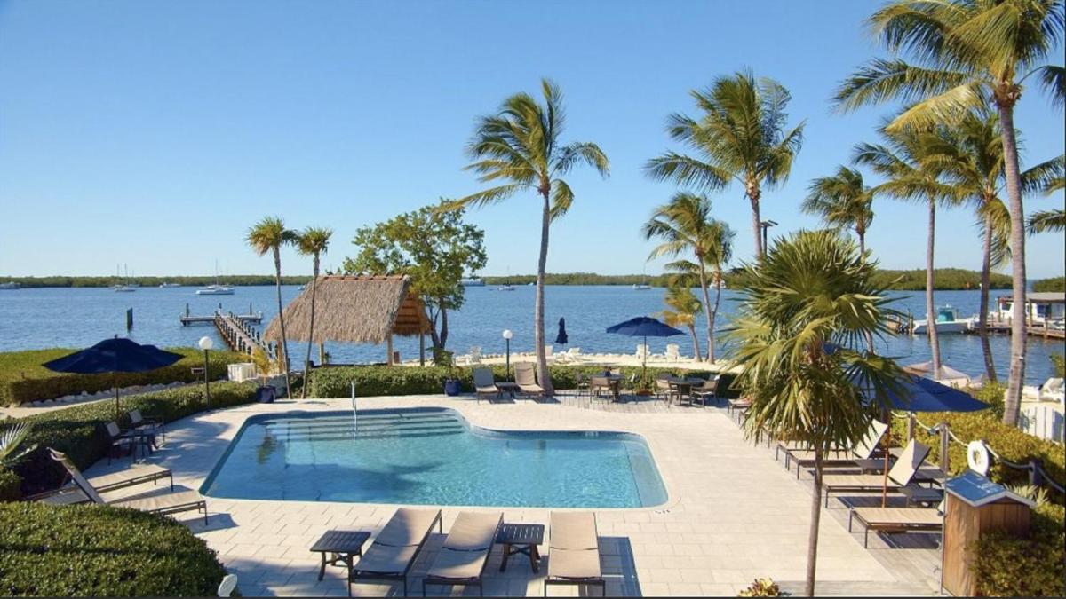 Coconut Palm Inn - image 6