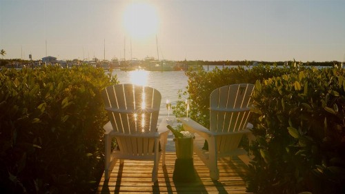 Coconut Palm Inn - image 7