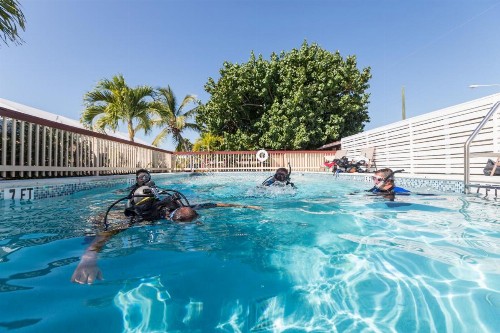 Creekside Inn Islamorada - image 41