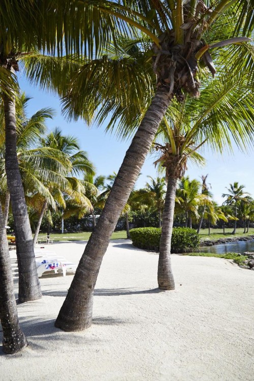 Atlantic Bay Resort - image 23