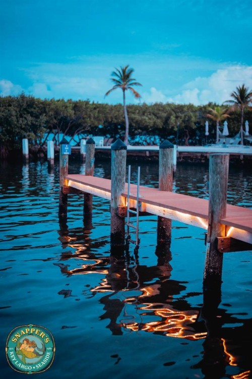 Snappers Key Largo - image 14
